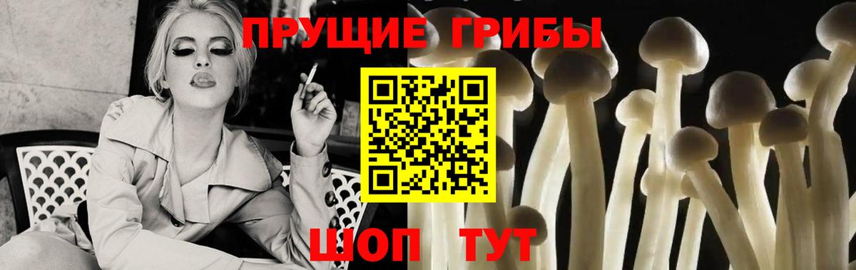 Галлюциногенные грибы прущие грибы  Вход с VPN  Заводоуковск  Псилоцибиновые грибы Magic Shrooms 