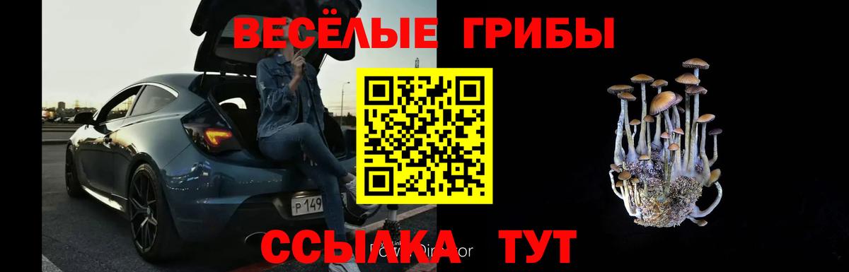 Заводоуковск  Вход с VPN  Купить наркотики  COCAIN  Конопля  Метамфетамин  МЕФ кристаллы  Гашиш  ГАШИШ  Амфетамин кристаллы 